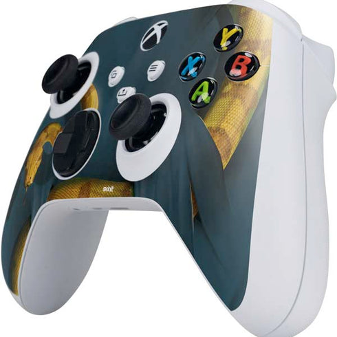 Vincent Hie Boa Constrictor Xbox Series S Controller Skin